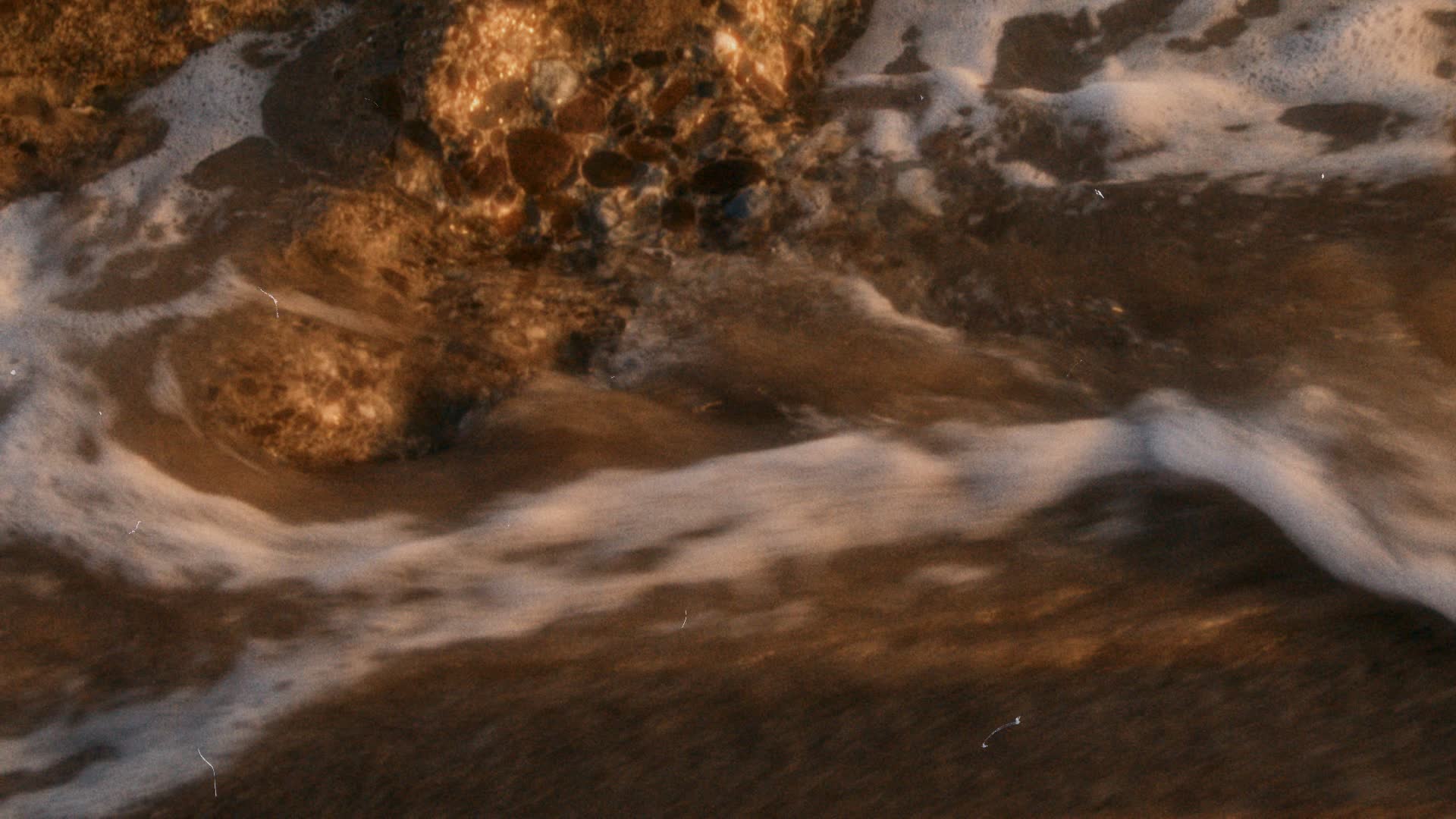 Manifesto background